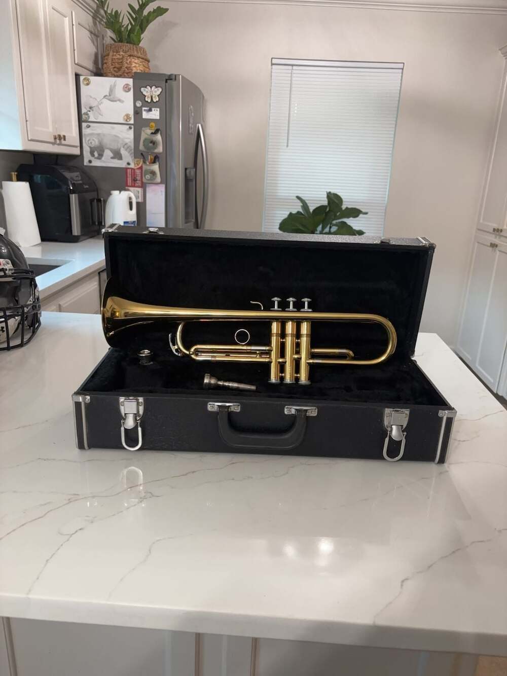 Bel Air Student Trumpet with Case and Mouthpiece